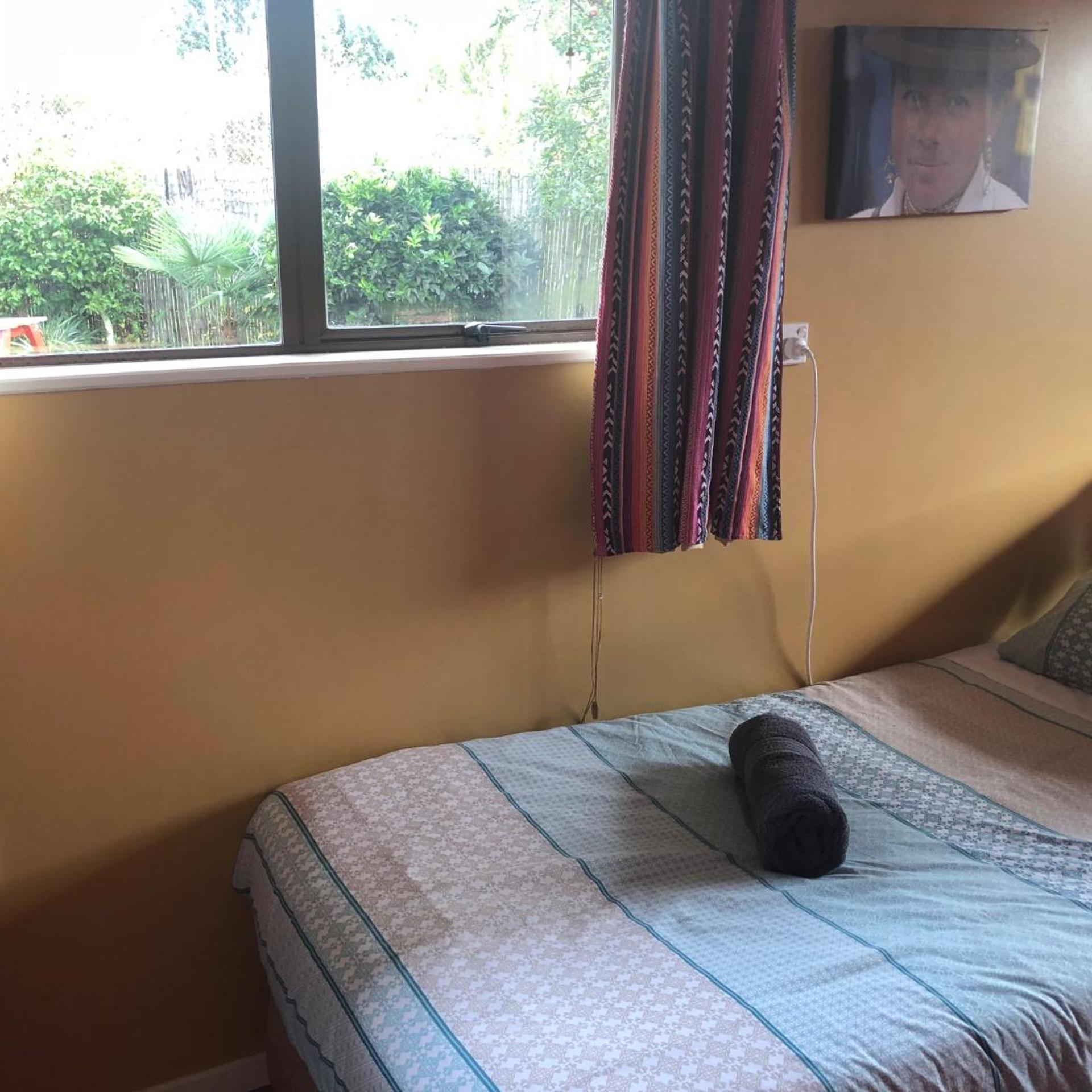The Bug Backpackers Hostel 18/50