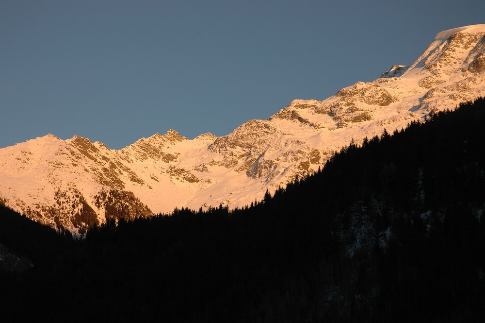 Chalet-Hotel La Chemenaz 41/50