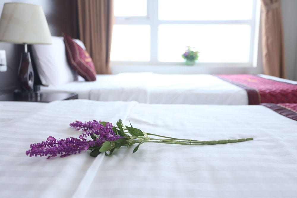 Huong Son Hotel 35/54
