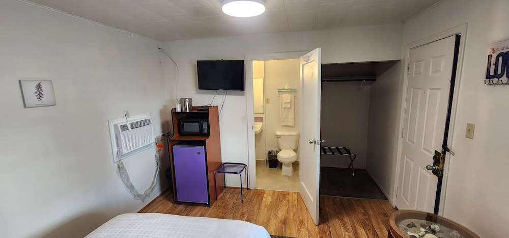 Rose's Motel 28/50
