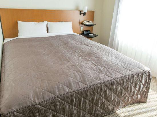 Semi Room, Queen Bed, Bathtub
