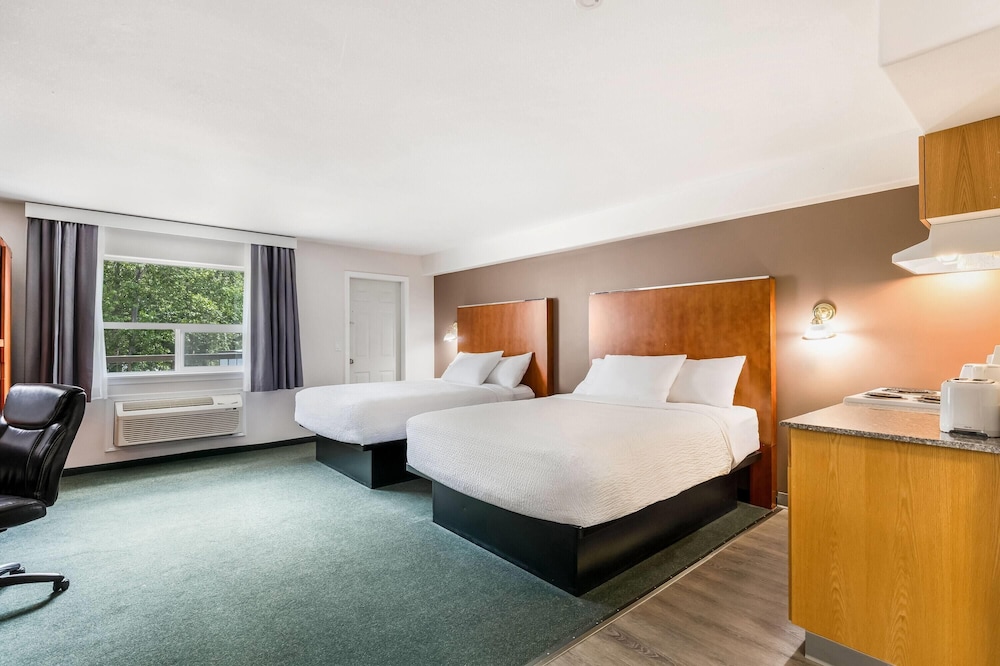 Efficiency, Studio, Suite, 2 Queen Beds