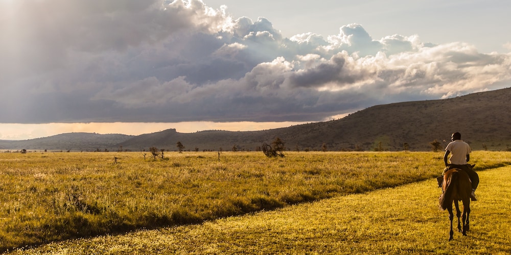 Lewa Safari Camp 36/50