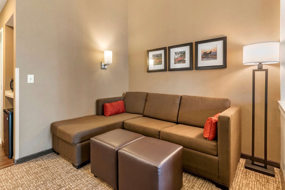 Comfort Suites Manheim - Lancaster 35/55
