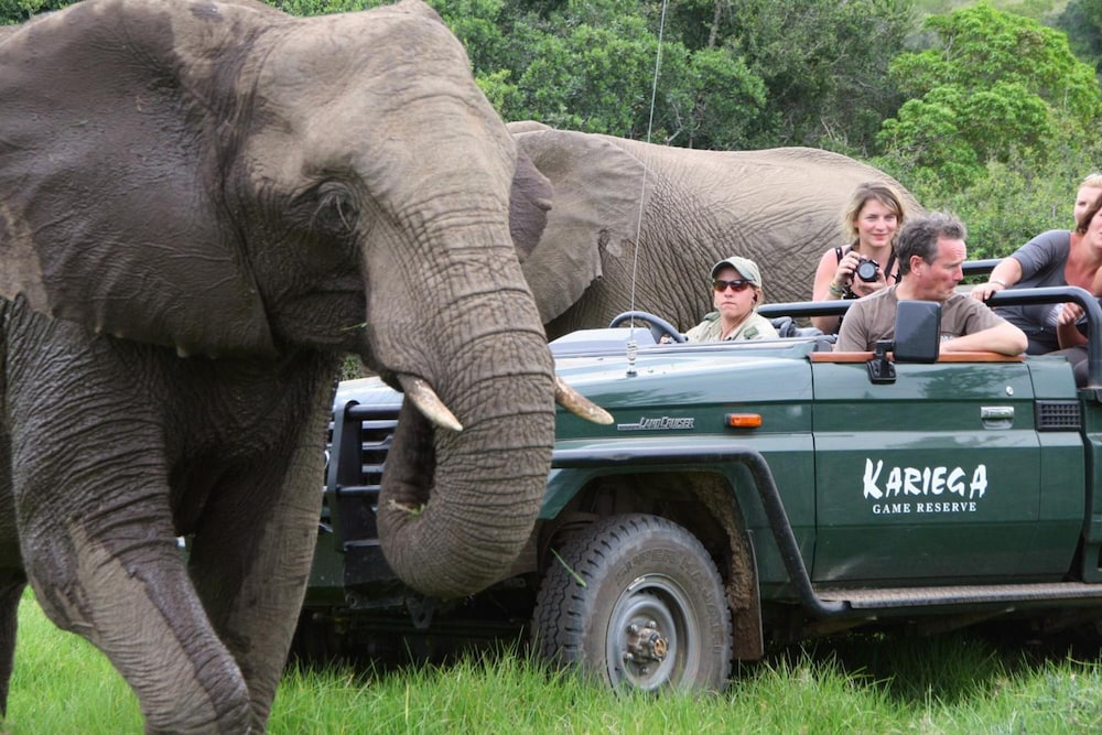 Kariega Game Reserve Main Lodge 4/50
