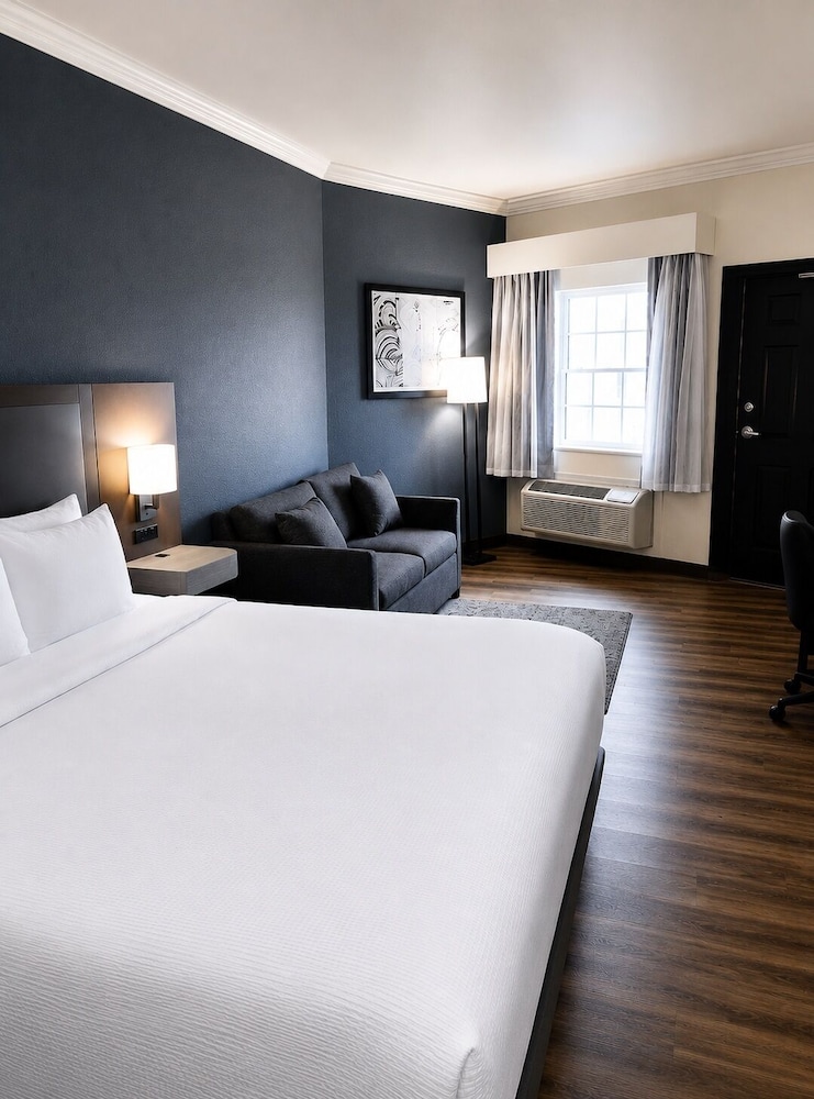 Suite, King Bed, Ocean View, Sofa