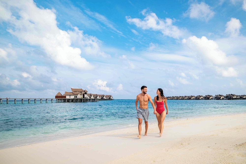 Ozen Reserve Bolifushi 132/136