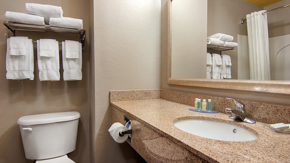 Best Western Auburndale Inn & Suites 13/42