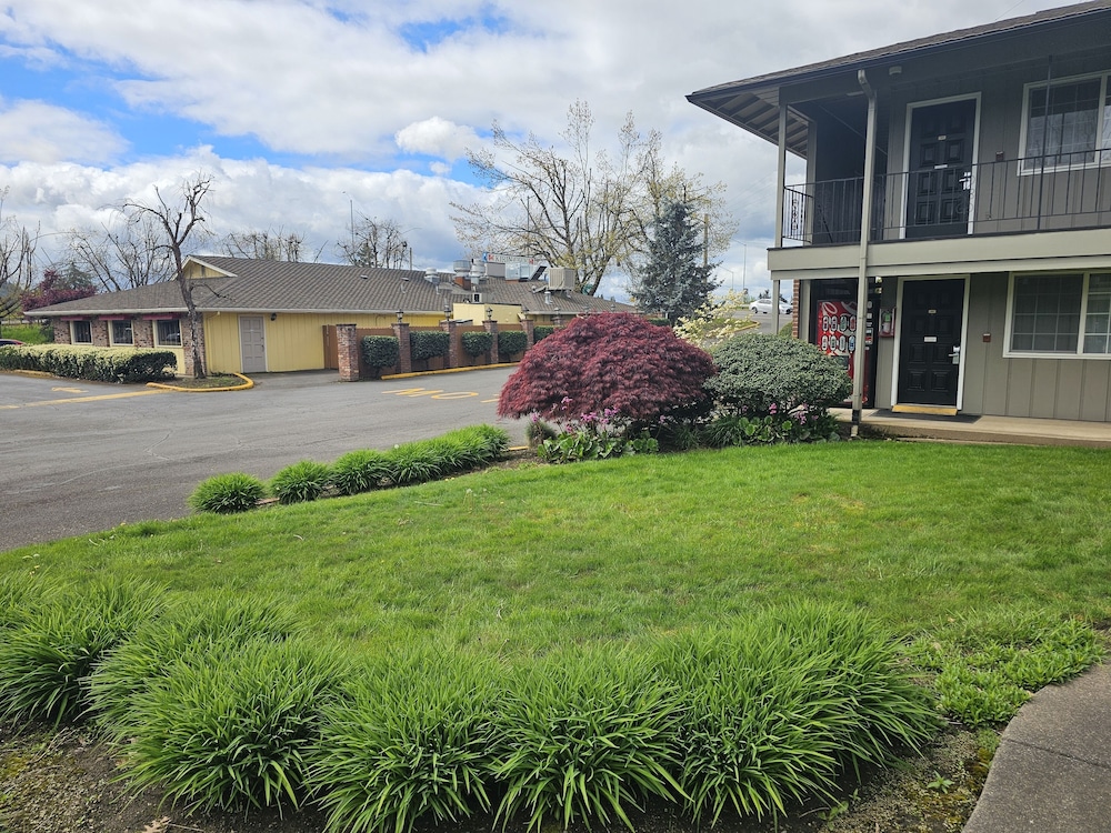 Village Inn Springfield 49/59