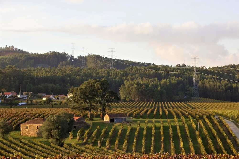 Terra Rosa Country House & Vineyards 38/50
