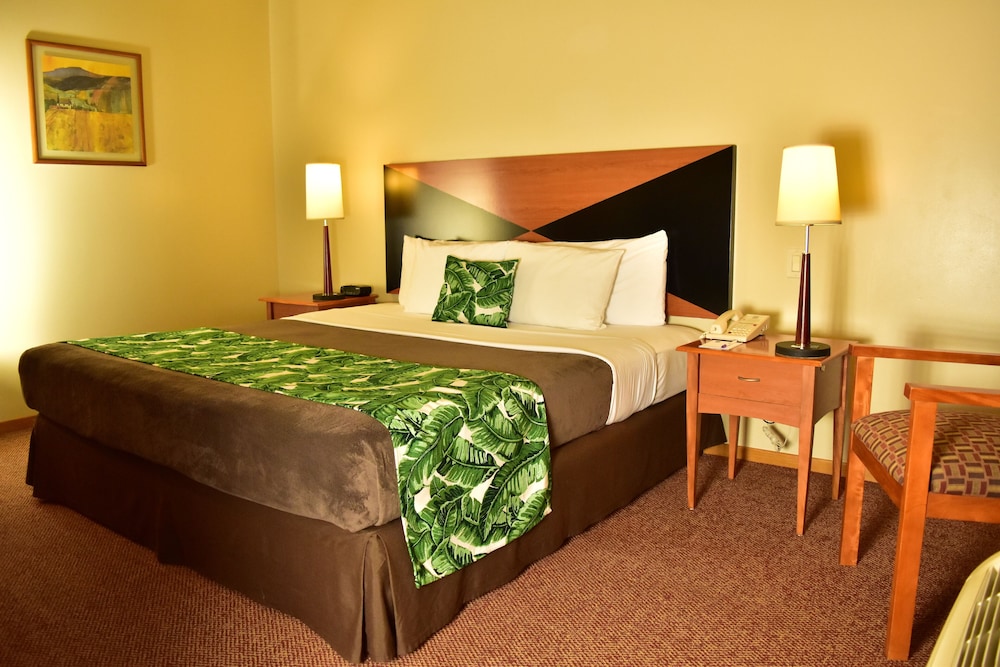 STANDARD, KING BED, ACCESSIBLE
