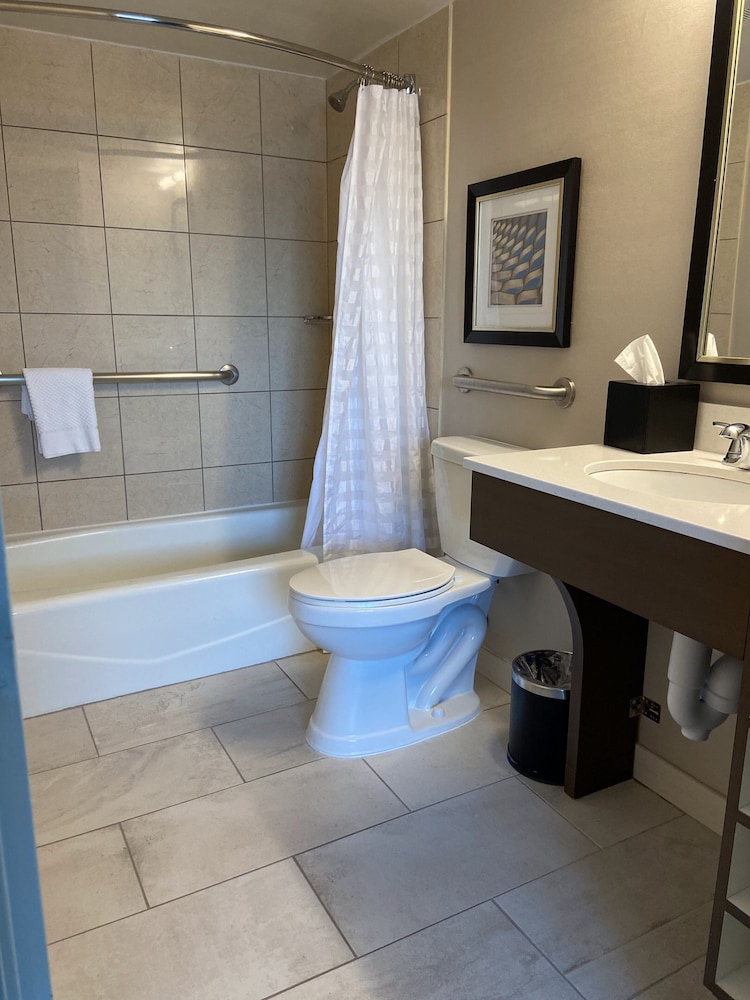 Embassy Suites by Hilton Chicago Schaumburg Woodfield 18/55