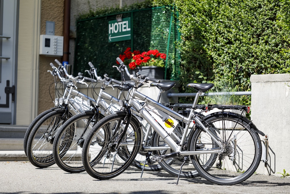Hotel Jardin Bern 24/38