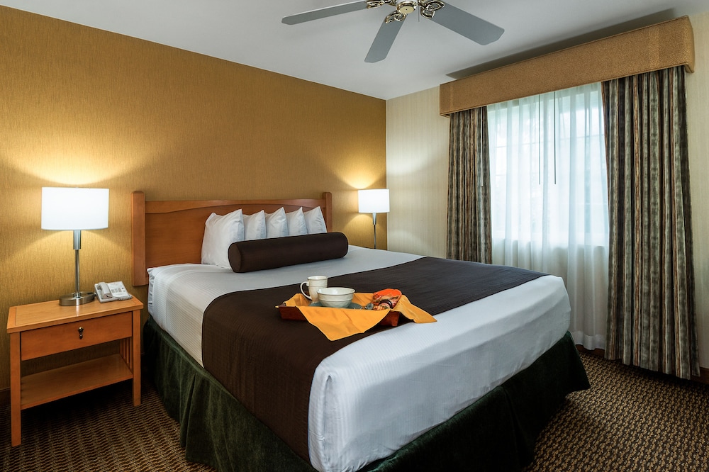 Ramada By Wyndham Costa Mesa/Newport Beach 14/38