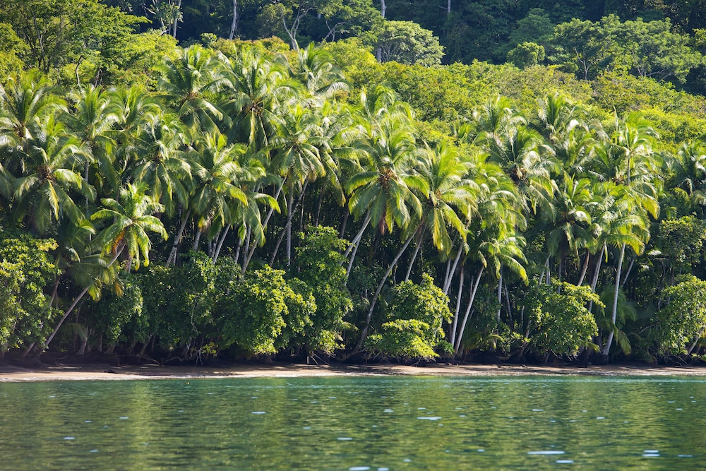 Playa Nicuesa Rainforest Lodge 27/32