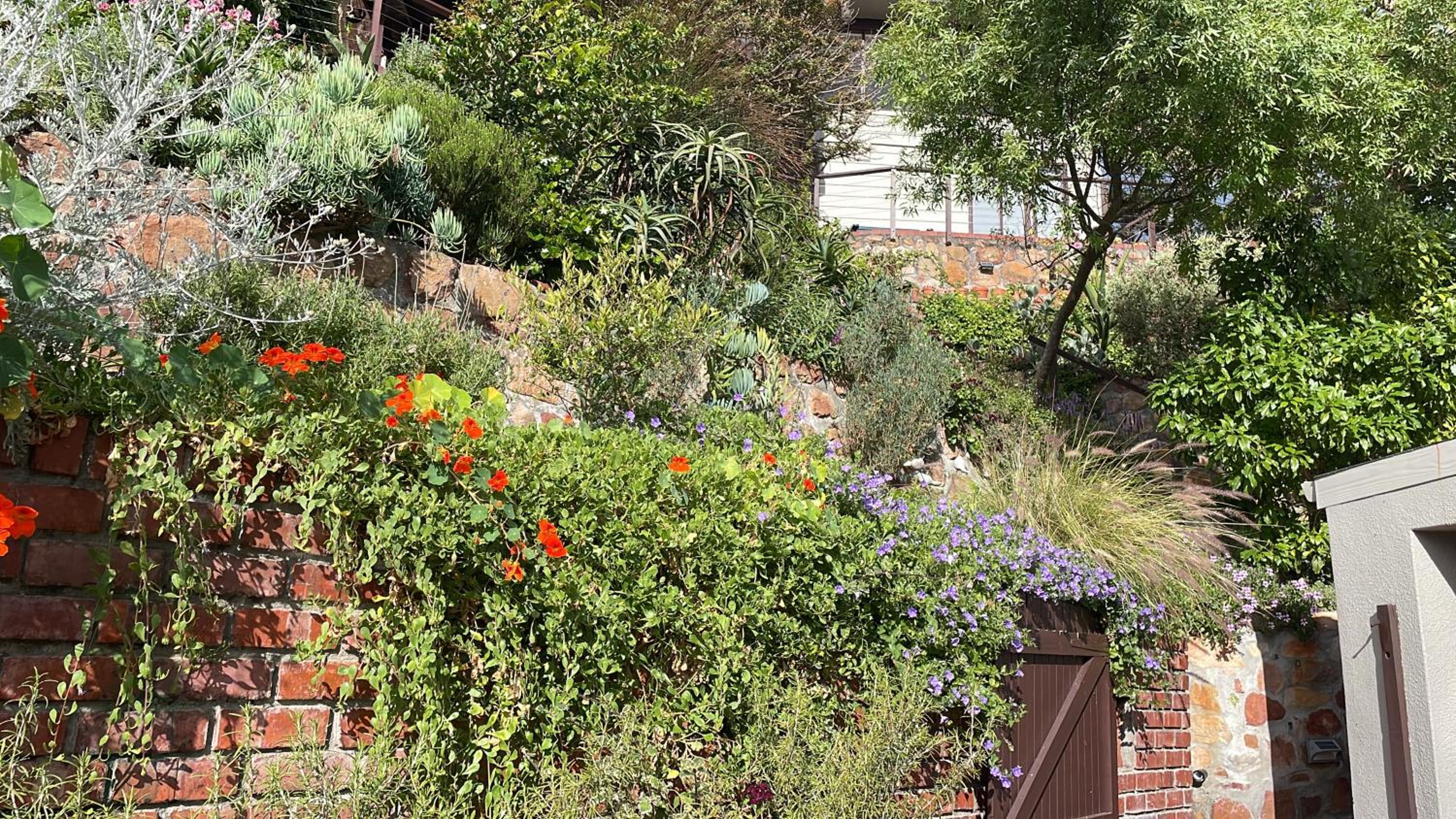 64 on Clovelly 19/23