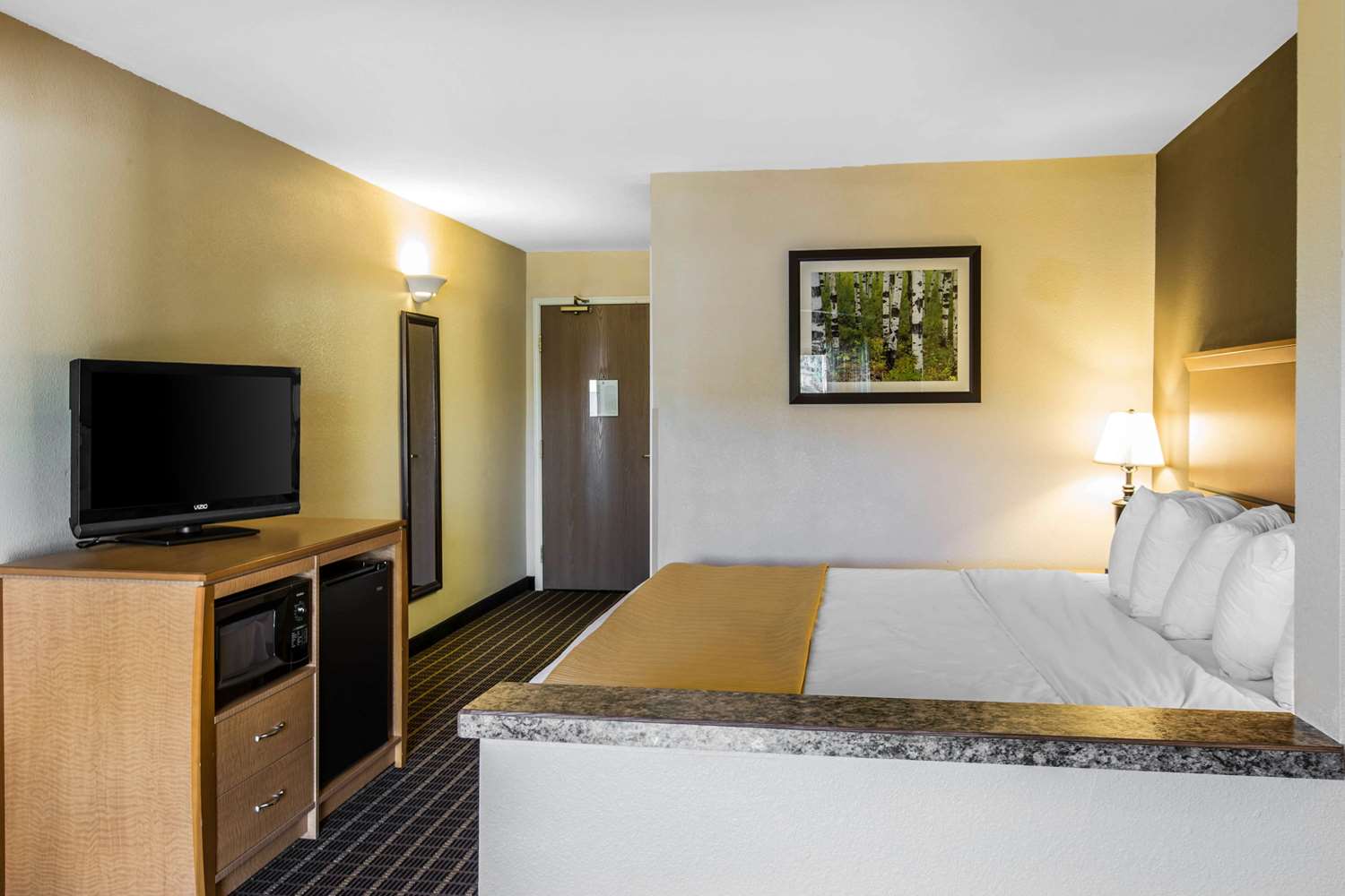 Room, King Bed