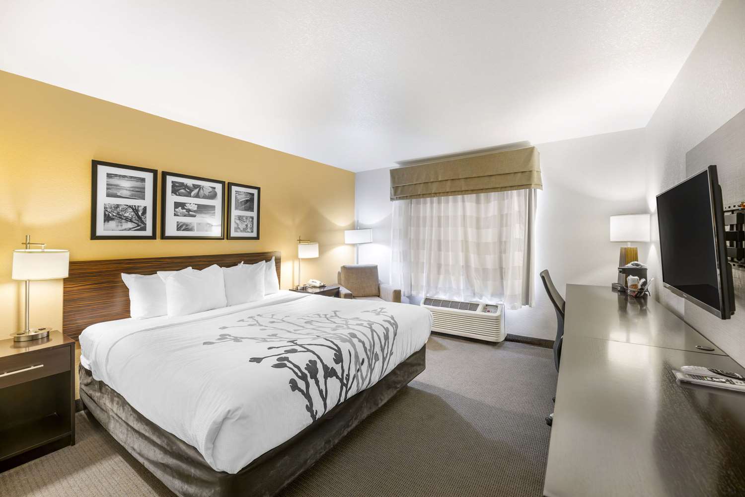 Room, King Bed