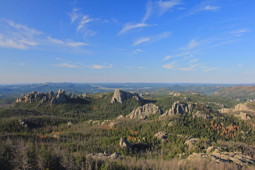 surroundings