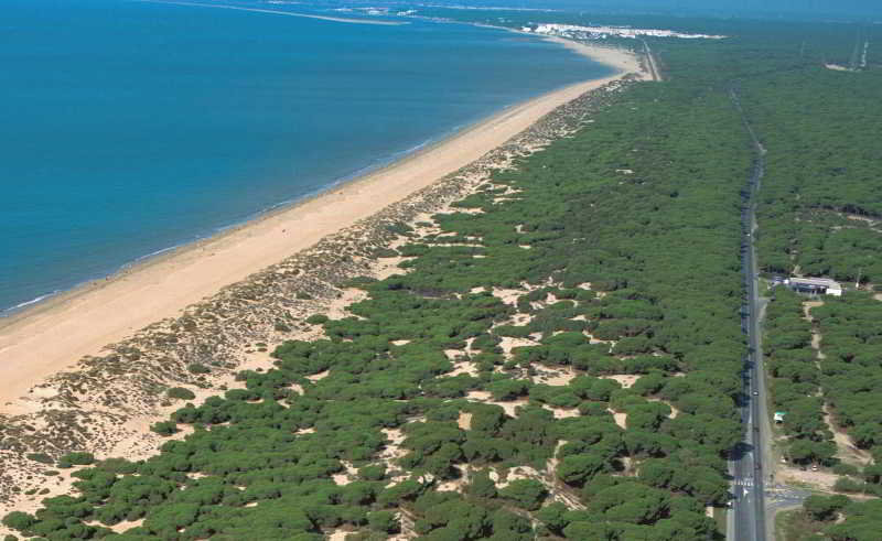 Leo Punta Umbria 39/50