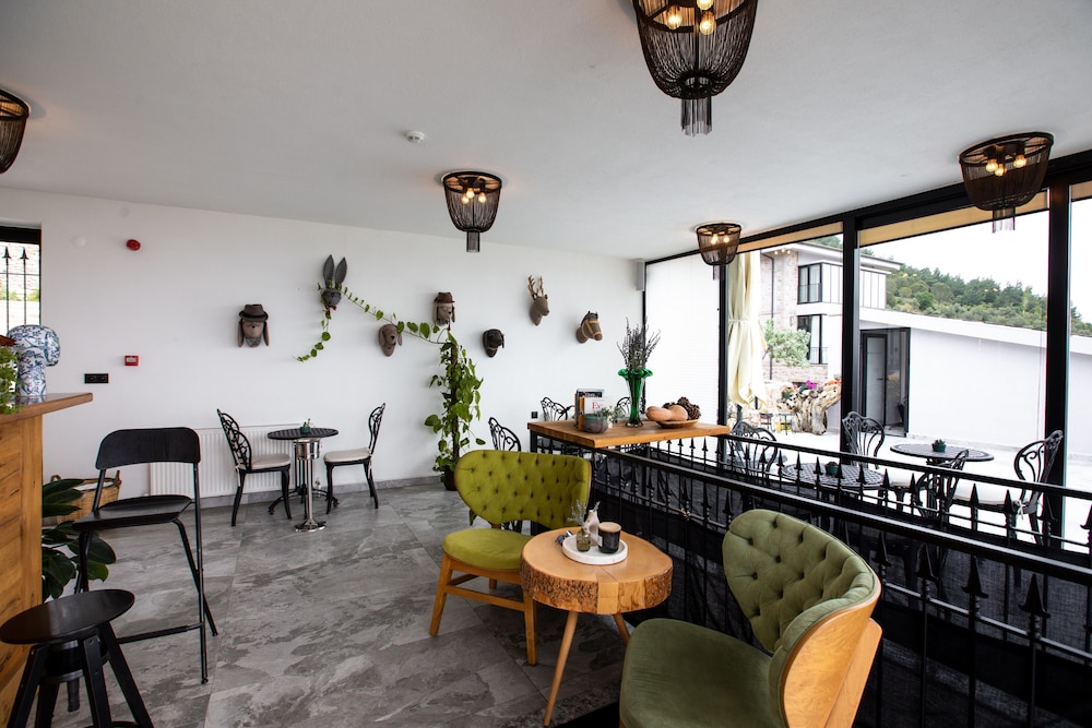 Marlo Ayvalik +12 Adult Only 24/50