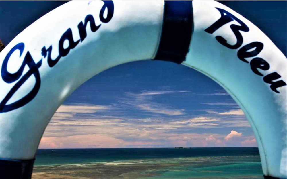 Le Grand Bleu 16/50