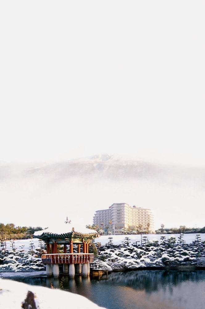 Seogwipo KAL Hotel 62/71