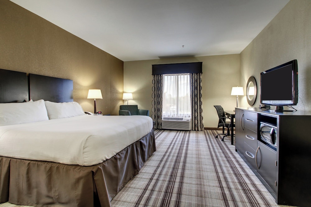 Suite, King Bed, Sofa