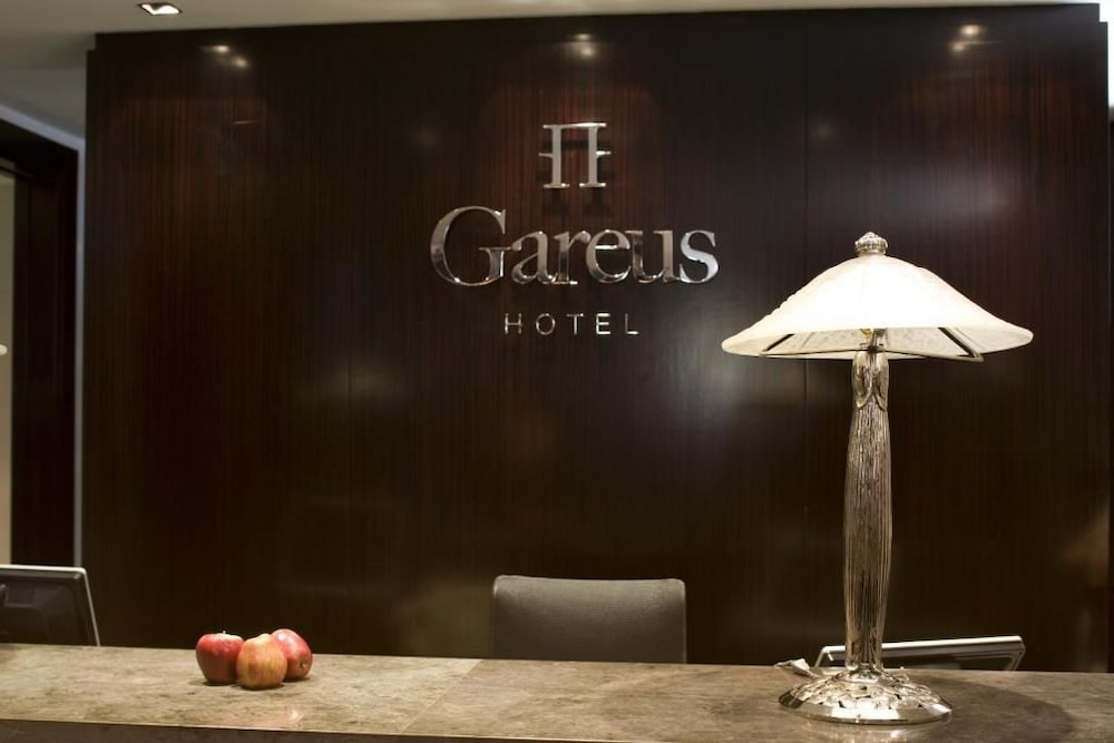 Hotel Boutique Gareus 25/60