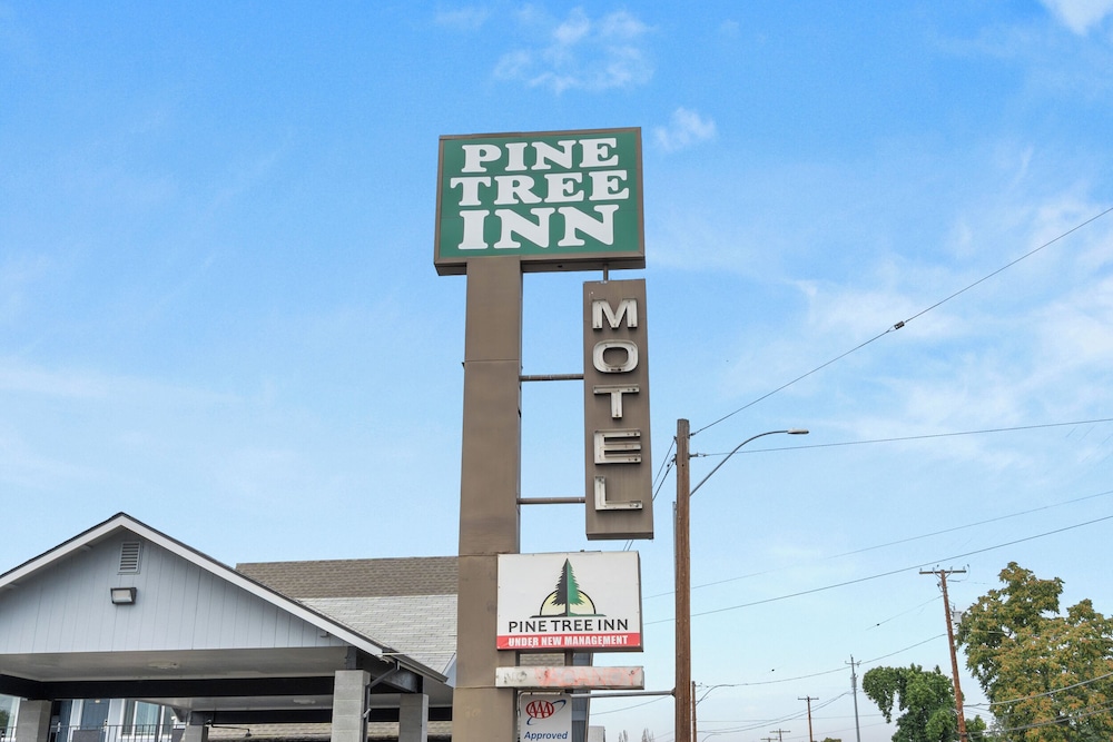 Tiki Lodge Motel 3/49