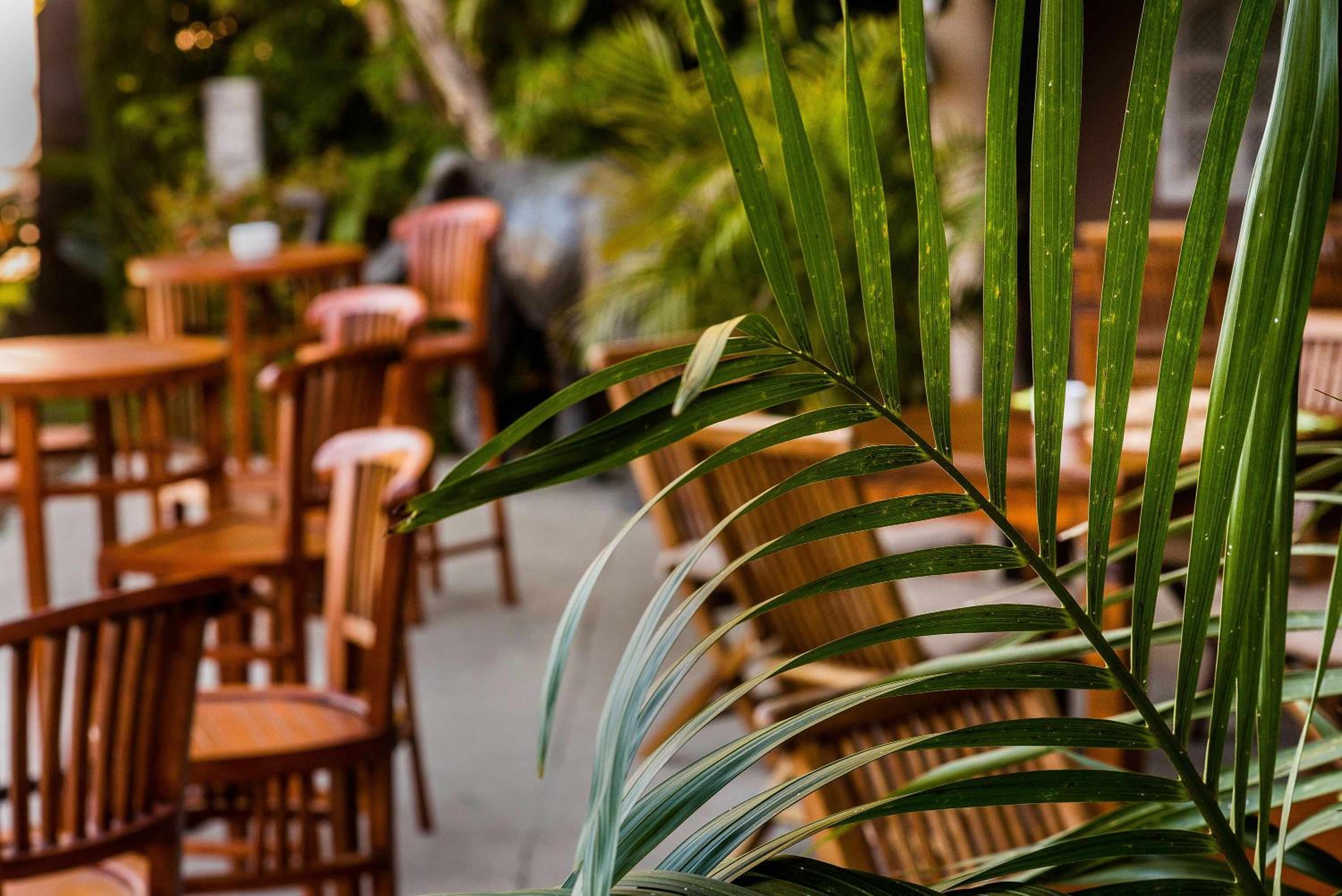 Chillout Hotel Tres Mares 33/50