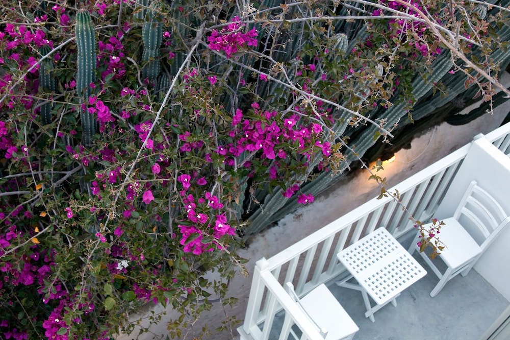 Fresh Boutique Hotel 51/58