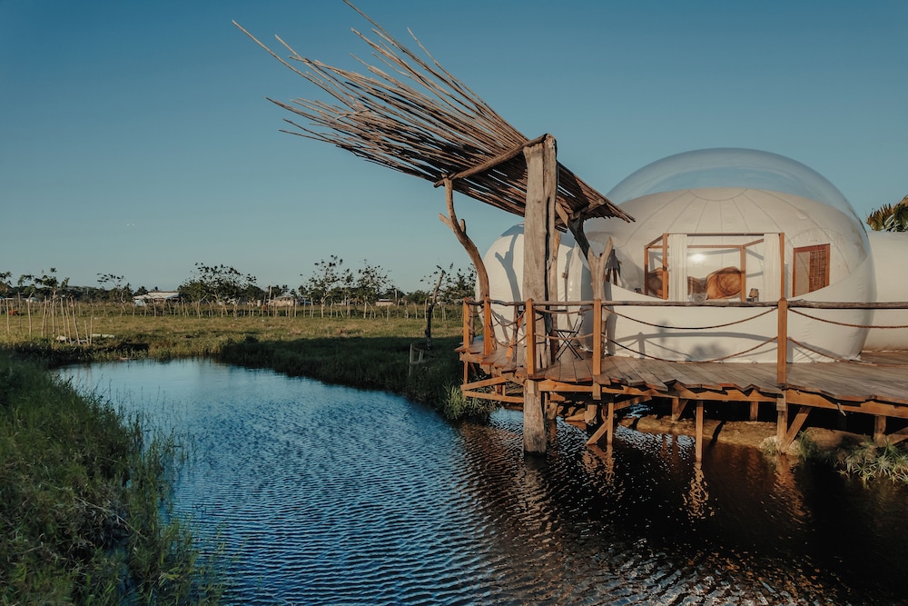 Green Land Bubble Glamping 38/60