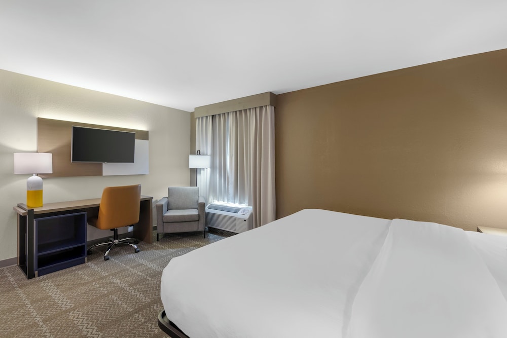 Upgrade, Suite, King Bed, Sofa