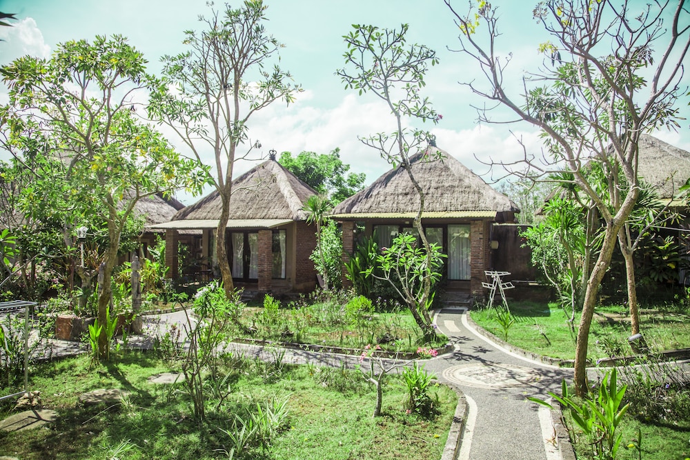 Olo Surf & Nature - Balangan 26/35