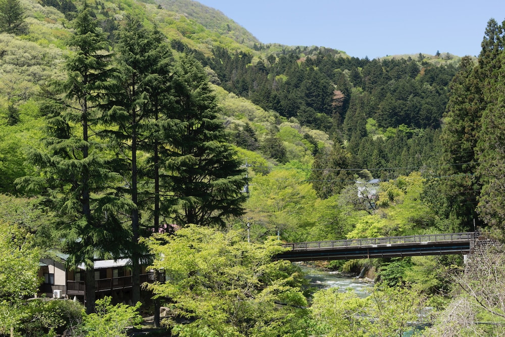 Shima Onsen Kashiwaya Ryokan 68/69
