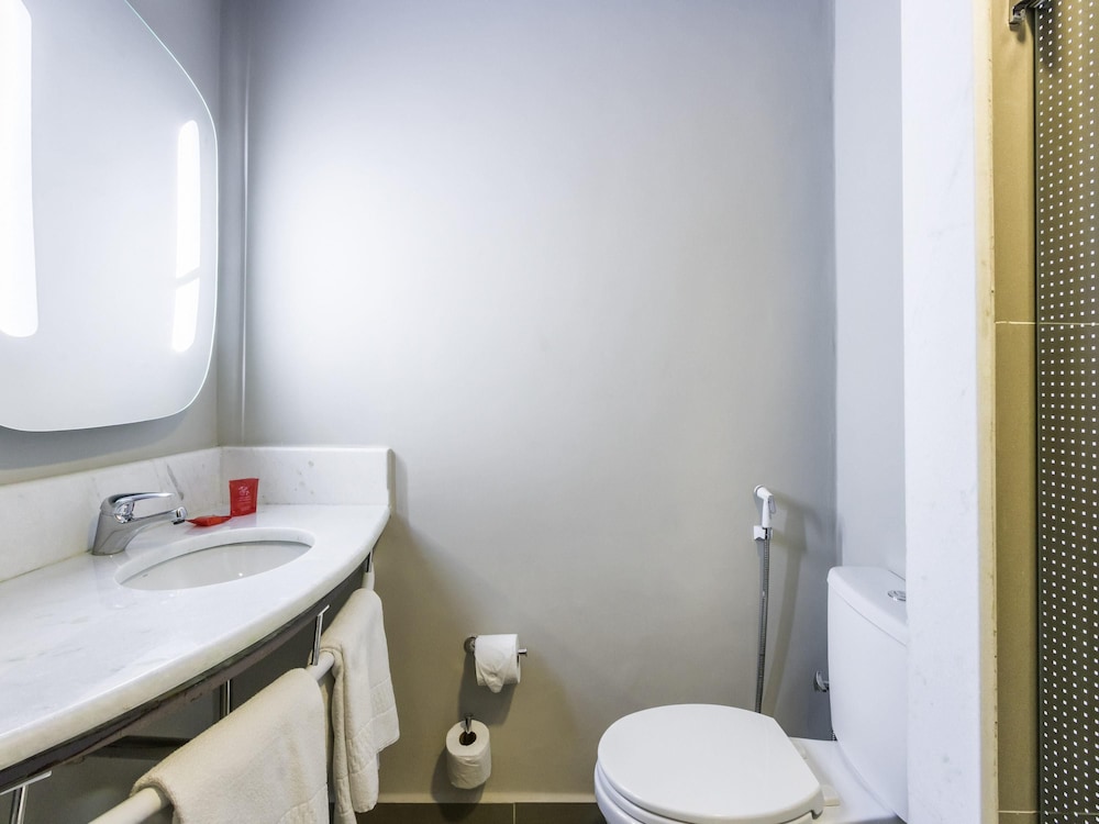 Ibis Americana 43/43
