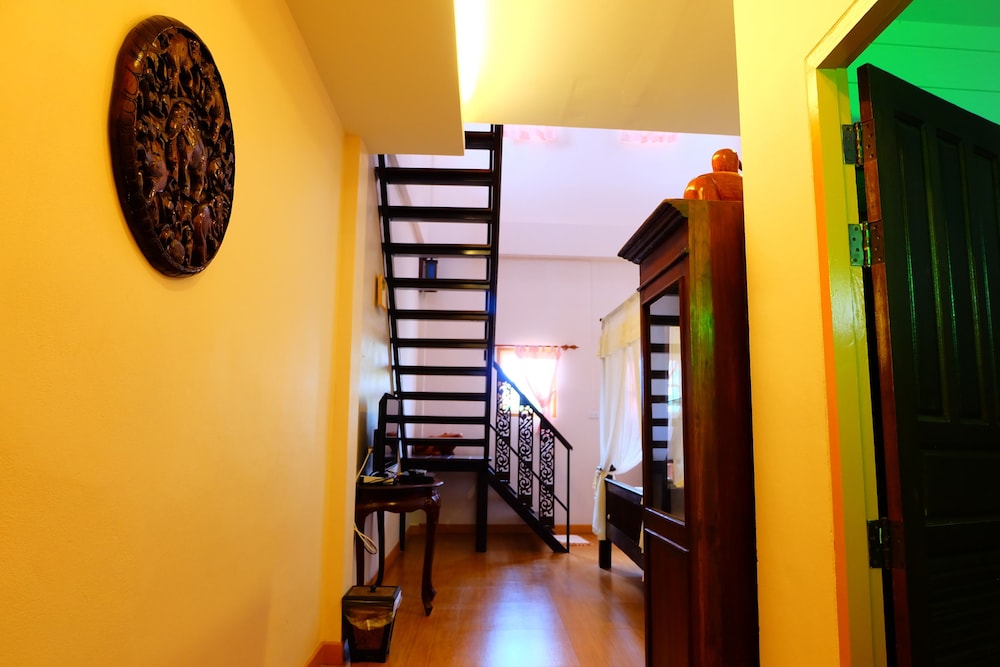 P Paradise Hotel 21/50