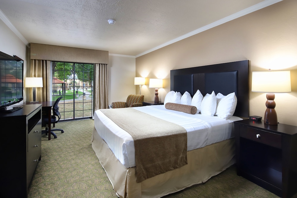 Wyndham Tucson Airport & Conference Center 13/66