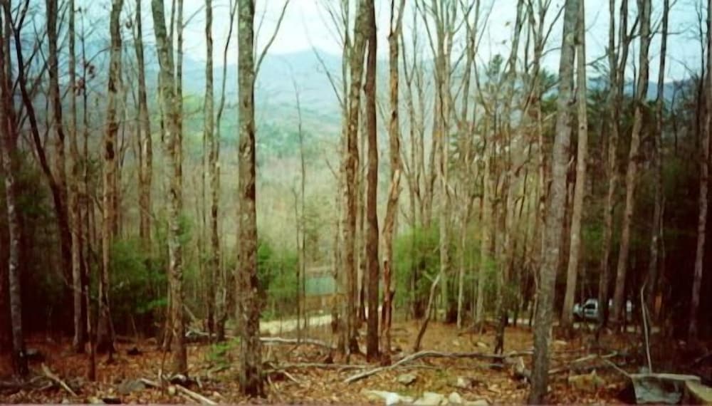Nantahala Cabins 46/50