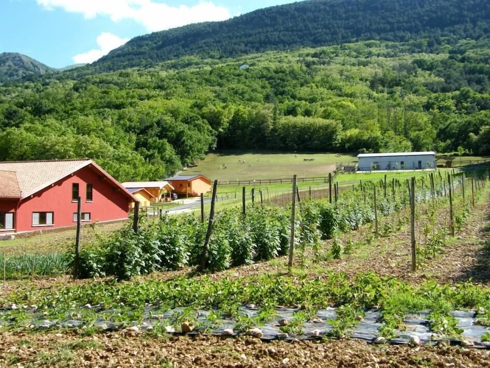 Fattoria Antica Forconia 20/24