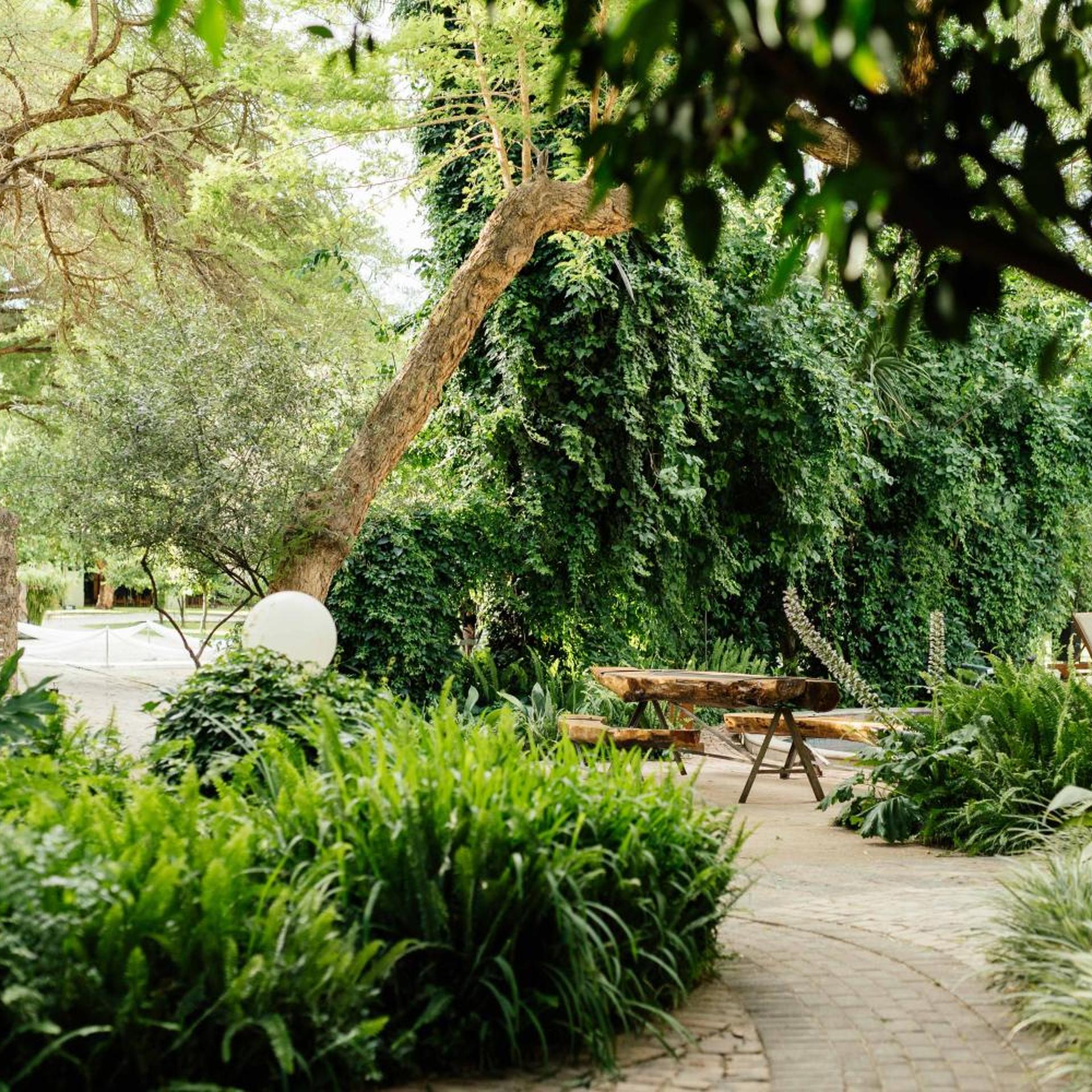 African Vineyard Guest House & Wellness Spa 44/50