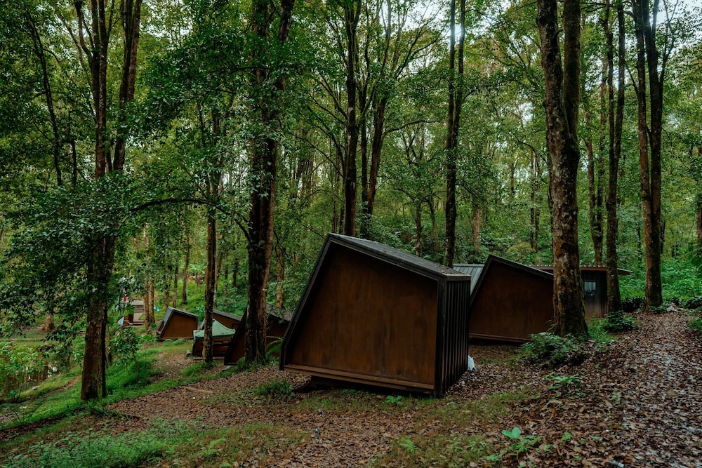 Bobocabin Ranca Upas 39/49