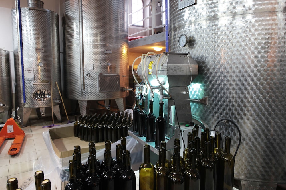 Vinifera Vineyards Hotel 41/50