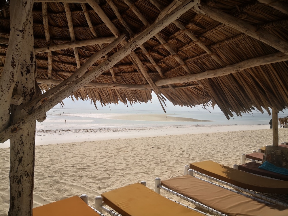 Mambo Ocean Resort 45/50
