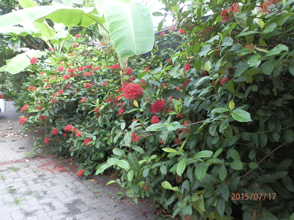 Sandy Serviced Apartment 48/62
