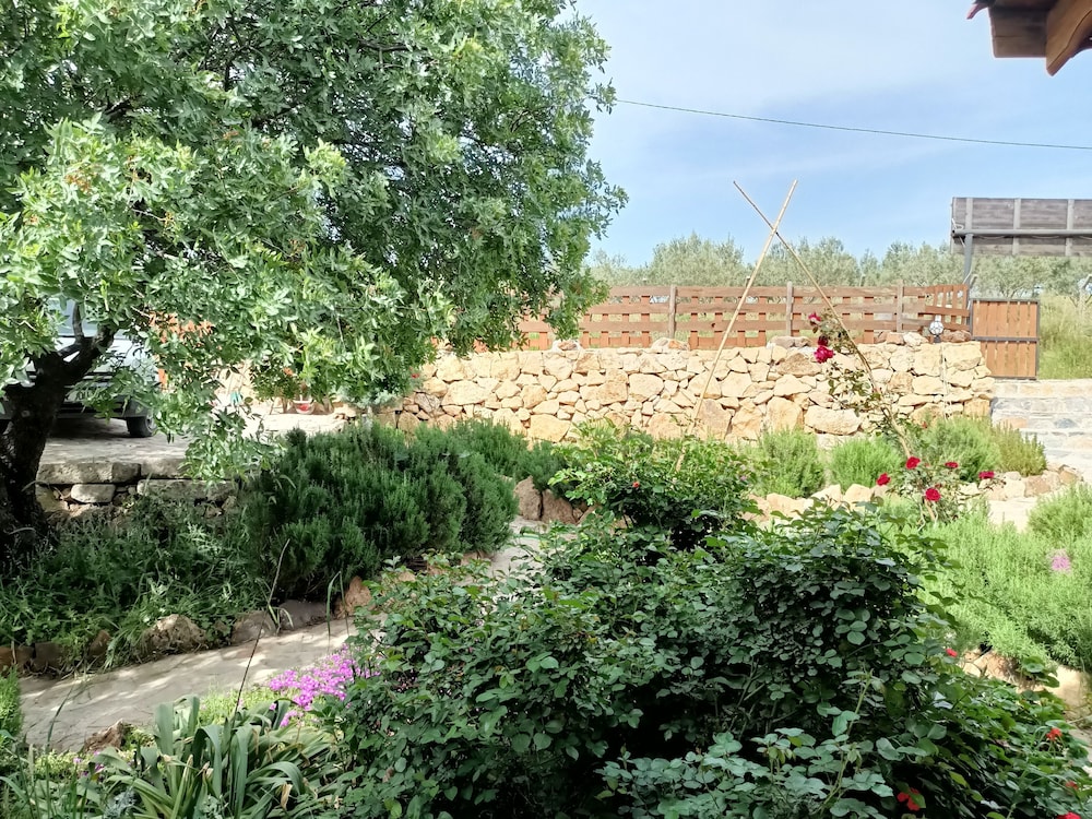 Delice Doga Evi - Hostel 38/50