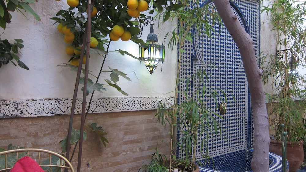 Riad Maizie 5/50