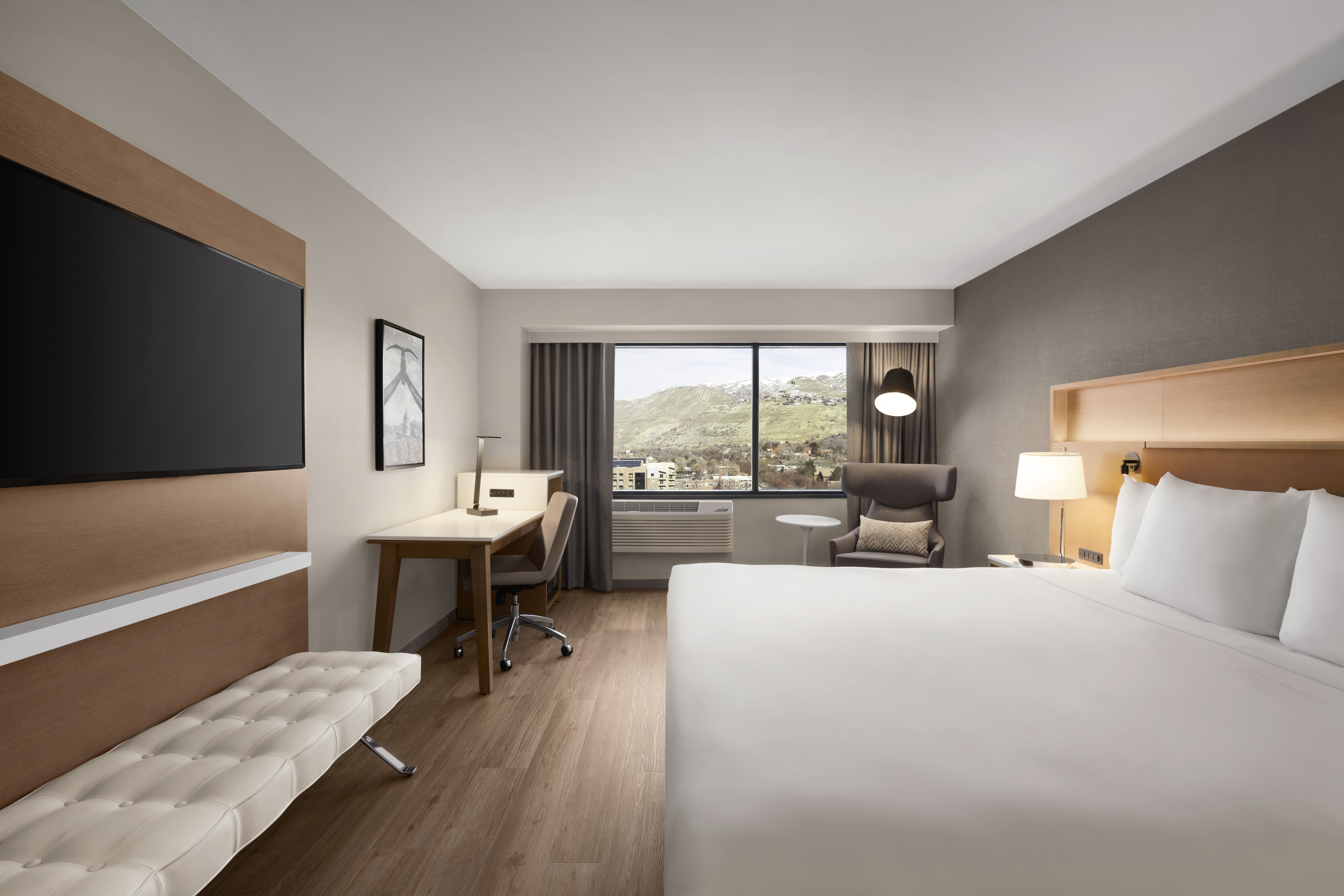 ROOM, KING BED, ACCESSIBLE
