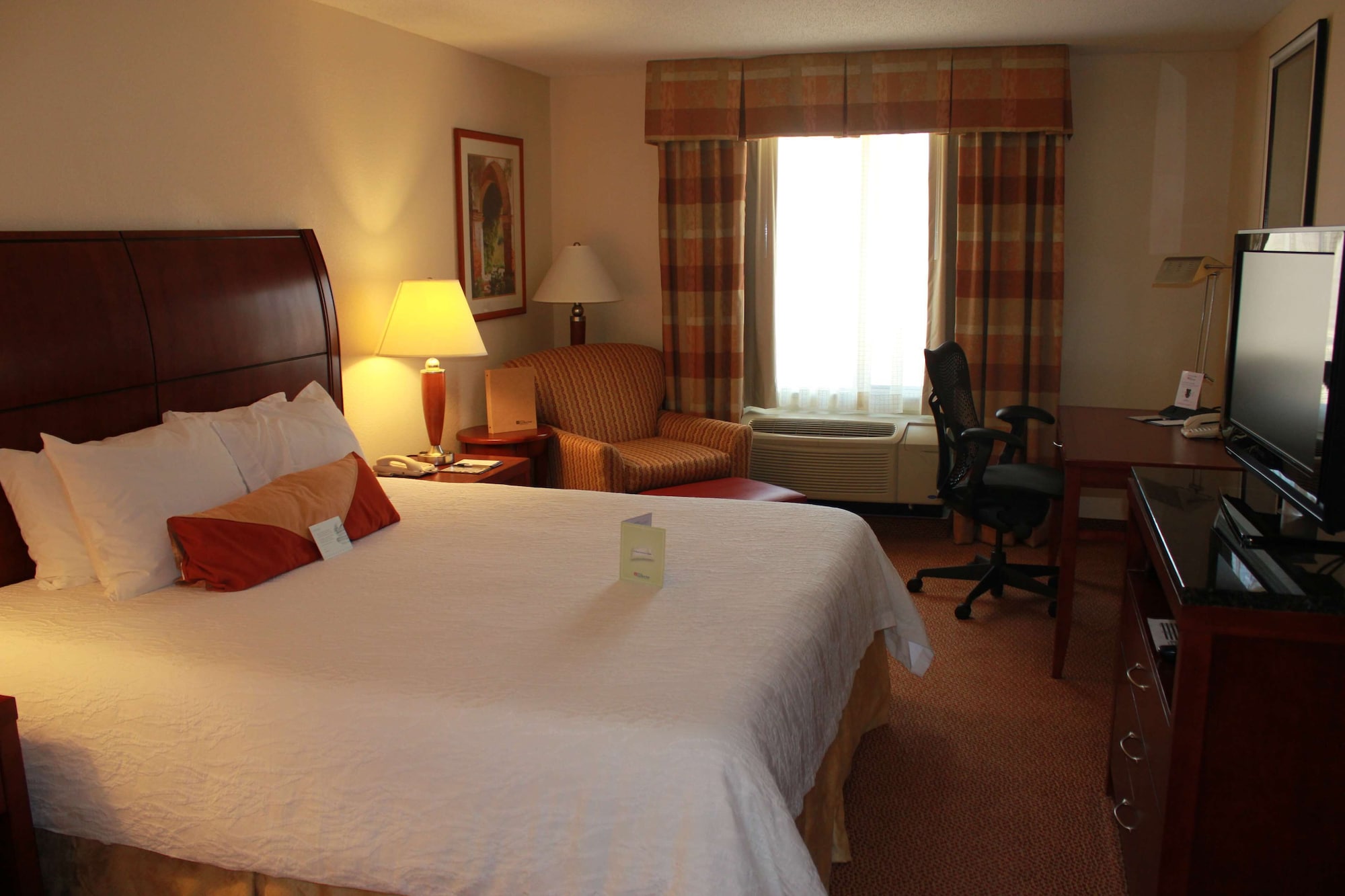 Evolution, Junior Suite, King Bed